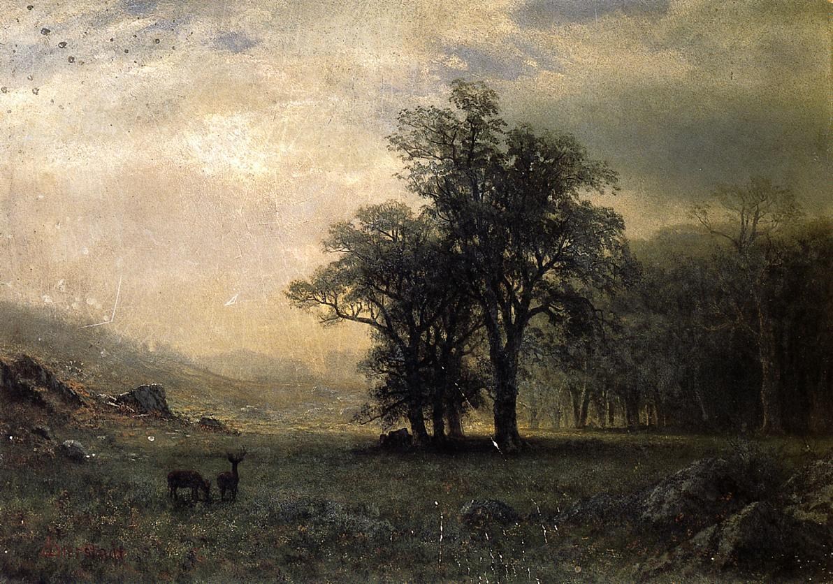 Albert Bierstadt Deer in a Landscape